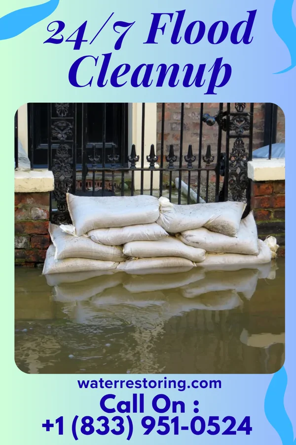 24/7 Flood Cleanup in Clearview, WV