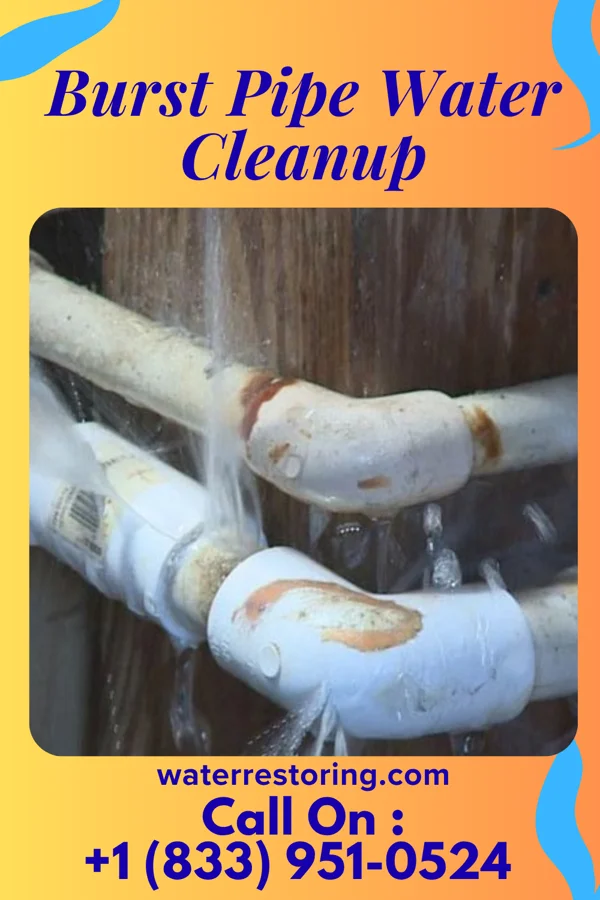 Burst Pipe Water Cleanup in Clearview, WV