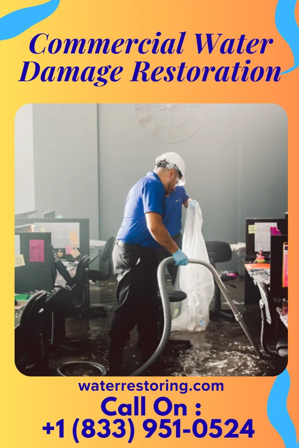 Commercial Water Damage Restoration in Clearview, WV