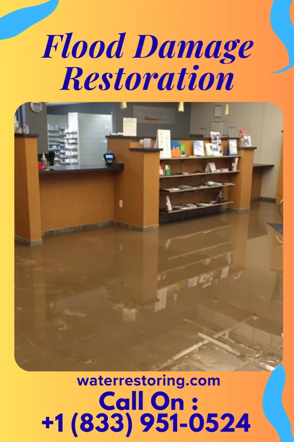Flood Damage Restoration in Clearview, WV