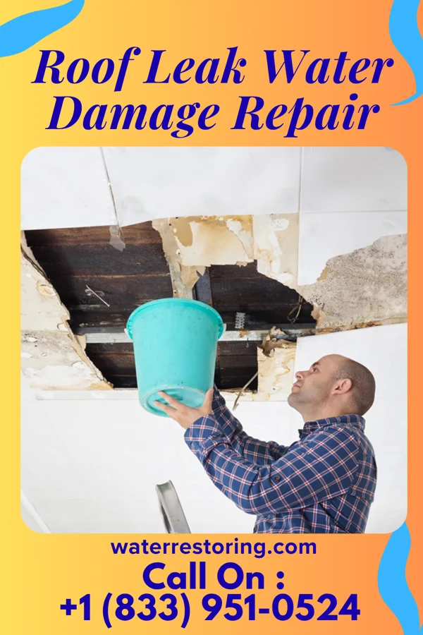 Roof Leak Water Damage Repair in Clearview, WV