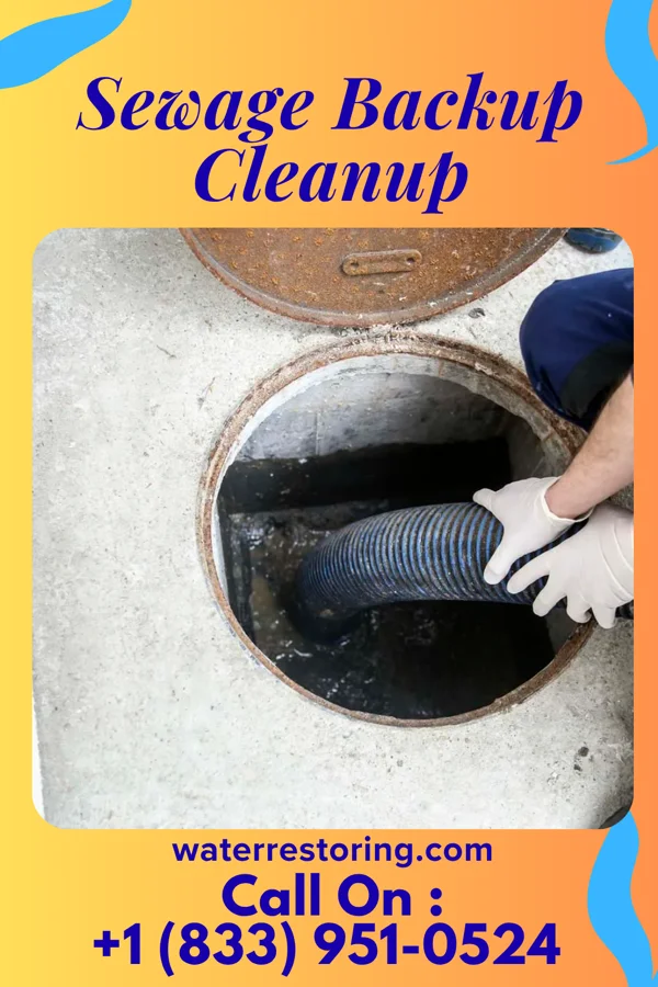 Sewage Backup Cleanup in Clearview, WV