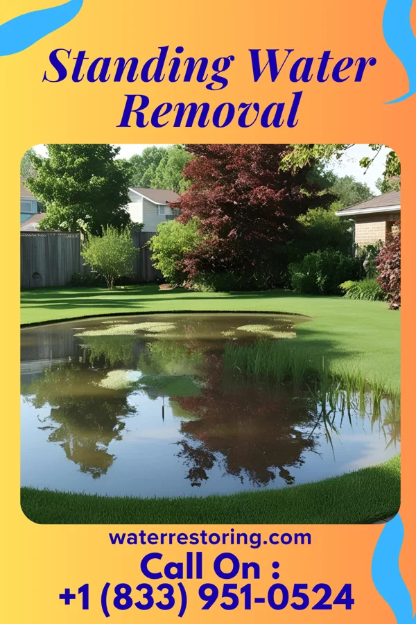 Standing Water Removal in Clearview, WV